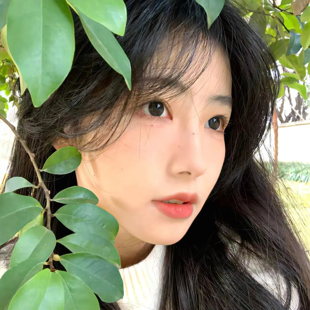 绿色的远方
