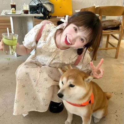 爱情攻略